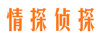 阜平找人公司